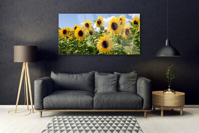 Fotografija na akrilnom staklu Biljka suncokreta