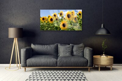 Fotografija na akrilnom staklu Biljka suncokreta
