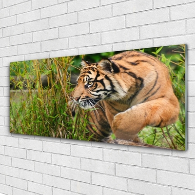 Slika na akrilnom staklu Tigar Životinje