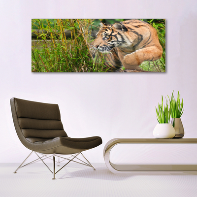 Slika na akrilnom staklu Tigar Životinje