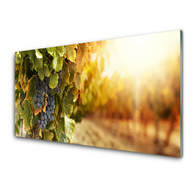 Fotografija na akrilnom staklu Grapes Leaves Kitchen