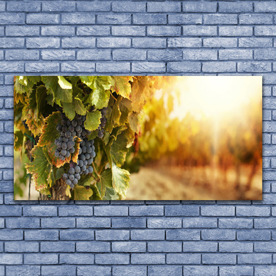 Fotografija na akrilnom staklu Grapes Leaves Kitchen