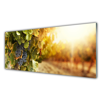 Fotografija na akrilnom staklu Grapes Leaves Kitchen