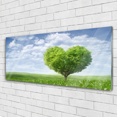 Fotografija na akrilnom staklu Drvo Srce Priroda