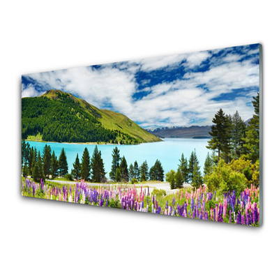 Fotografija na akrilnom staklu Planinski šumski krajolik jezera
