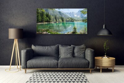 Fotografija na akrilnom staklu Planine Jezero Šuma Priroda