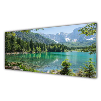 Fotografija na akrilnom staklu Planine Jezero Šuma Priroda
