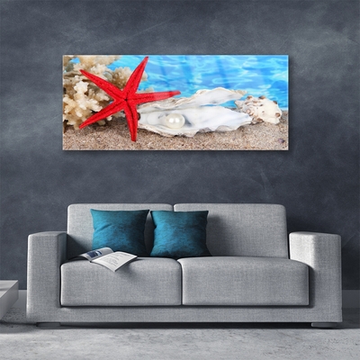 Slika na akrilnom staklu Morske zvijezde Školjke Priroda