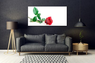 Fotografija na akrilnom staklu Rose Flower Biljna priroda