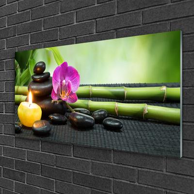 Pleksiglas slika Bamboo Flower Zen Spa