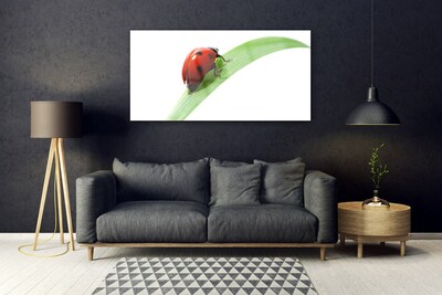 Fotografija na akrilnom staklu Ladybug Leaf Priroda