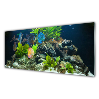 Fotografija na akrilnom staklu Akvarijske ribe Priroda