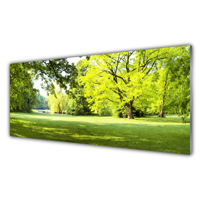 Fotografija na akrilnom staklu Trava Drveće Park Priroda