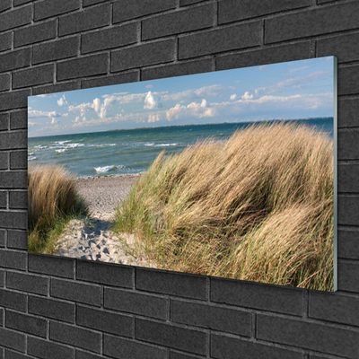 Fotografija na akrilnom staklu Pejzaž morske trave na plaži