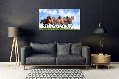 Fotografija na akrilnom staklu Konji u galopu na pašnjaku