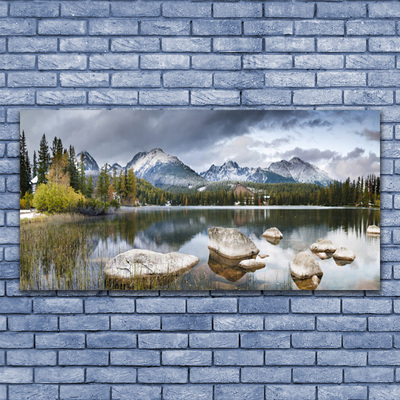 Fotografija na akrilnom staklu Jezero planinski šumski krajolik