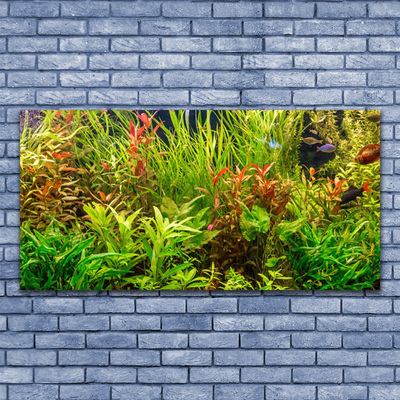 Fotografija na akrilnom staklu Biljke za akvarijske ribe