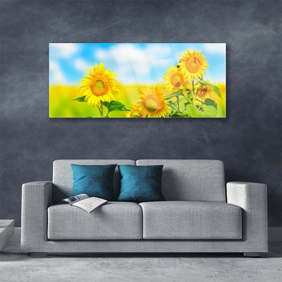 Fotografija na akrilnom staklu Suncokret Cvijeće Priroda
