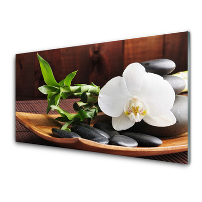 Fotografija na akrilnom staklu Zen bambus bijela orhideja