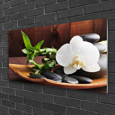 Fotografija na akrilnom staklu Zen bambus bijela orhideja
