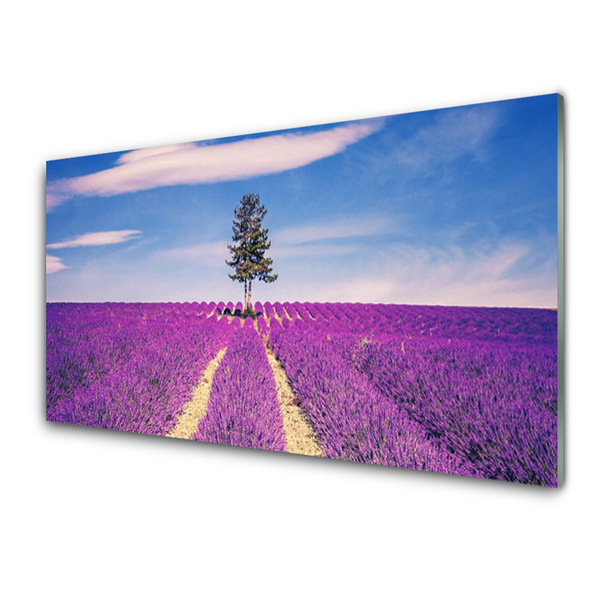 Fotografija na akrilnom staklu Lavanda Field Meadow Tree