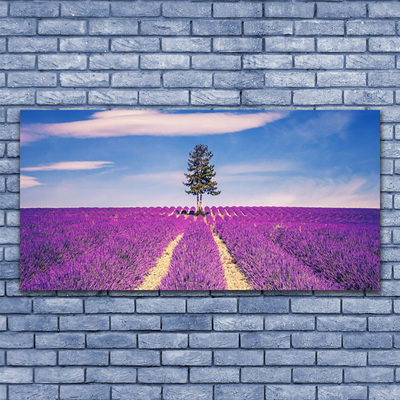 Fotografija na akrilnom staklu Lavanda Field Meadow Tree