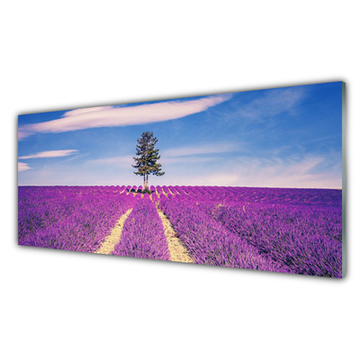 Fotografija na akrilnom staklu Lavanda Field Meadow Tree