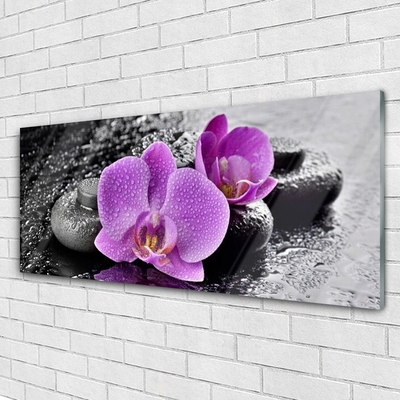 Fotografija na akrilnom staklu Orchid Flowers Orchid Spa