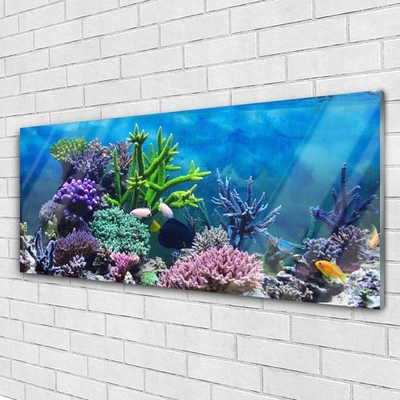 Pleksiglas slika Akvarij za ribe pod vodom