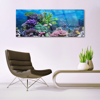 Pleksiglas slika Akvarij za ribe pod vodom