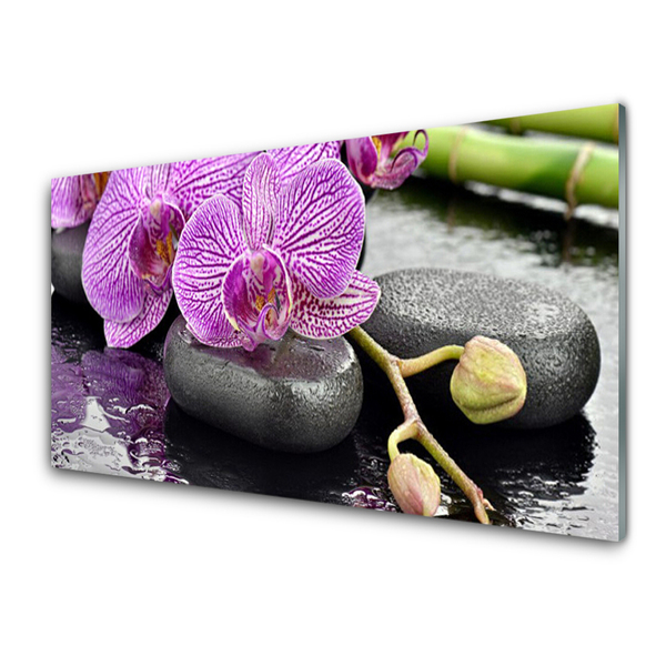 Akrilna slika Orchid Zen Orchid Spa