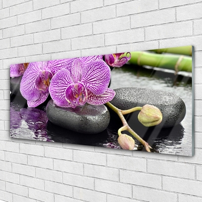 Akrilna slika Orchid Zen Orchid Spa