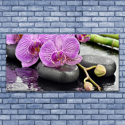 Akrilna slika Orchid Zen Orchid Spa