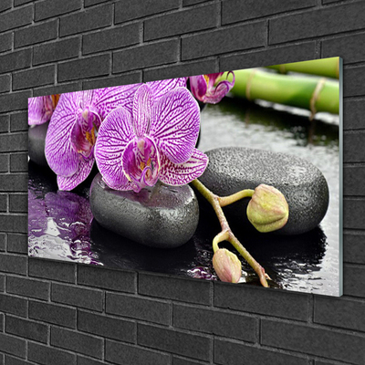 Akrilna slika Orchid Zen Orchid Spa