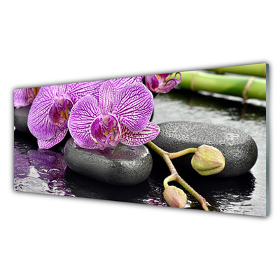 Akrilna slika Orchid Zen Orchid Spa