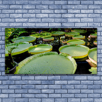 Fotografija na akrilnom staklu Leaves Lake Nature