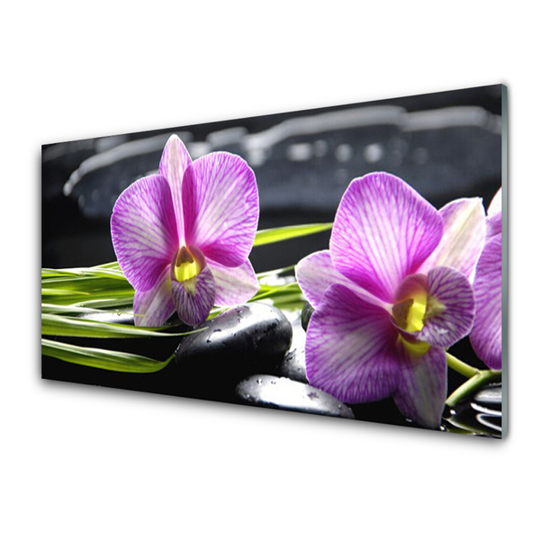 Fotografija na akrilnom staklu Orchid Stones Zen Spa