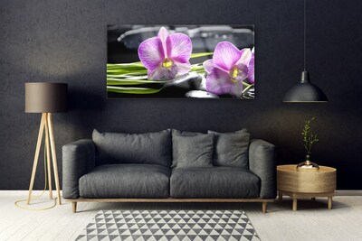 Fotografija na akrilnom staklu Orchid Stones Zen Spa