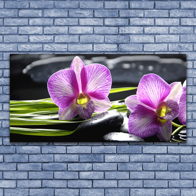 Fotografija na akrilnom staklu Orchid Stones Zen Spa