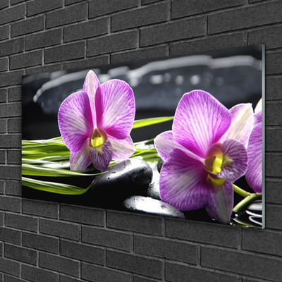 Fotografija na akrilnom staklu Orchid Stones Zen Spa