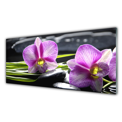 Fotografija na akrilnom staklu Orchid Stones Zen Spa