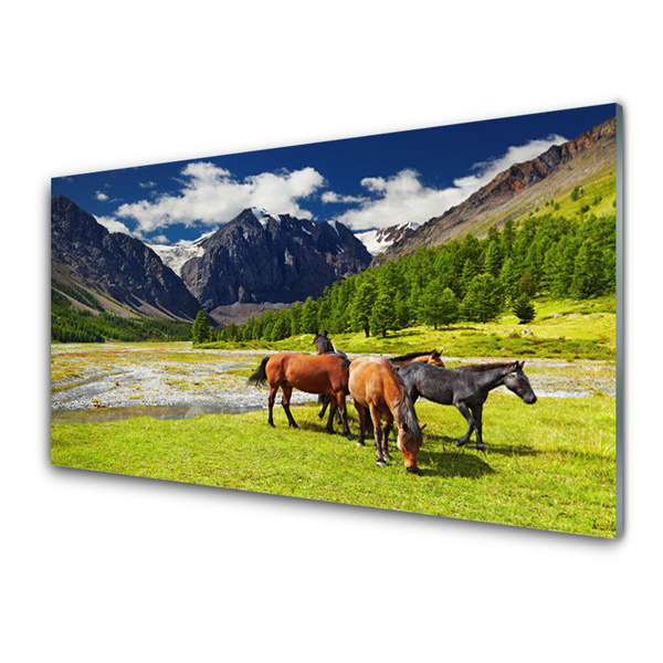 Fotografija na akrilnom staklu Planine Drveće Konji Životinje