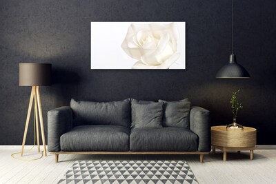 Fotografija na akrilnom staklu Cvijeće Ruže