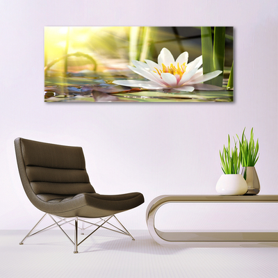 Fotografija na akrilnom staklu Cvijet vodenog ljiljana
