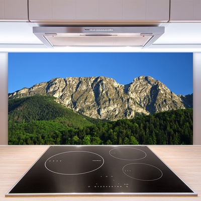 Staklena ploča za kuhinju Planinska šumska priroda