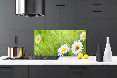 Staklo za kuhinju Grass Daisies Priroda