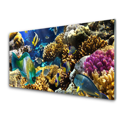 Staklo za kuhinju Priroda koraljnog grebena