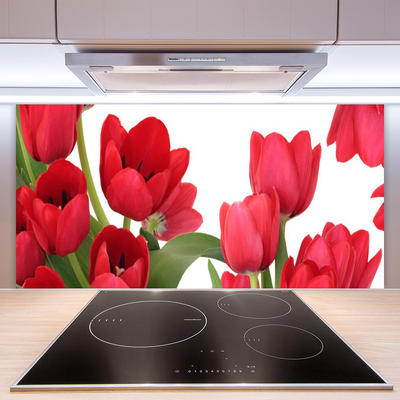 Staklo za kuhinju Tulipani Cvijeće Biljka