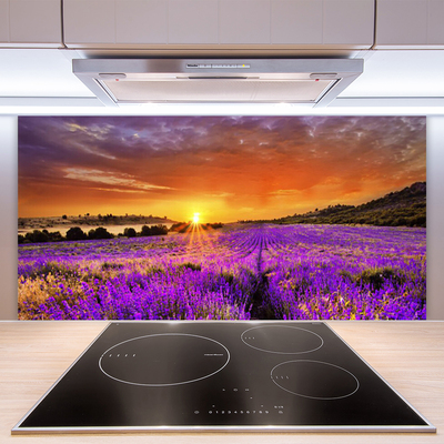 Staklena ploča za kuhinju Zalazak sunca Polje lavande