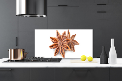 Dekorativno staklo za kuhinju Začin zvjezdasti anis
